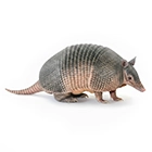 Armadillo - fauna silvestre